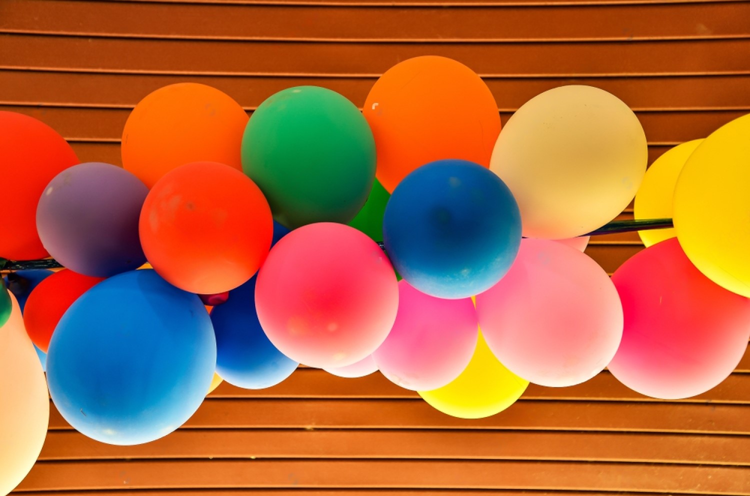 annual-fuction-party