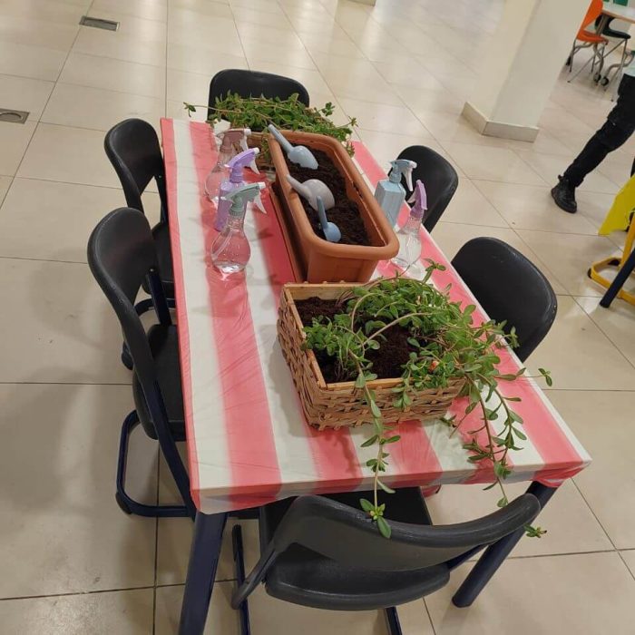Chair table and pot planting